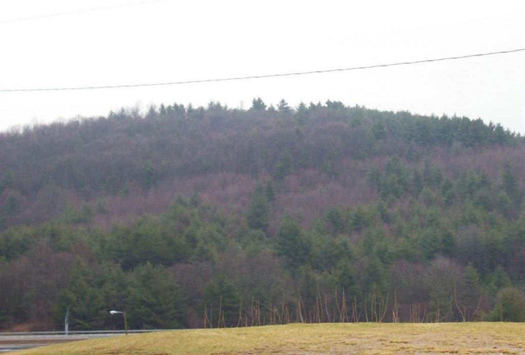 Country View Inn Fancy Gap Bagian luar foto